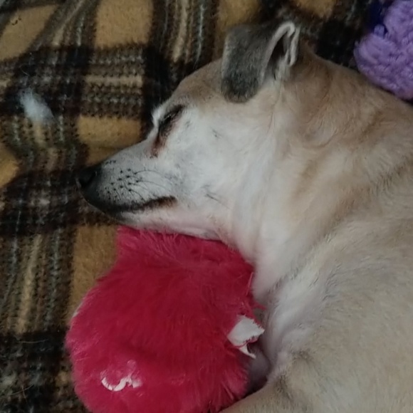 Meet your Posher, Sandra c - Picture 1 of 1